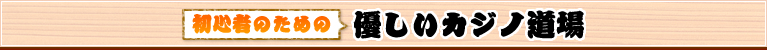 初心者のための優しいカジノ道場