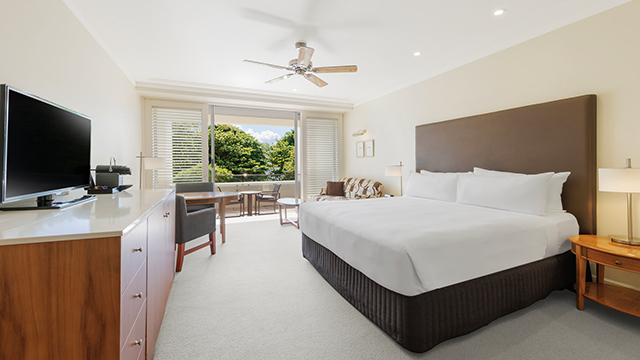 デラックスキングルーム(パークビュー)